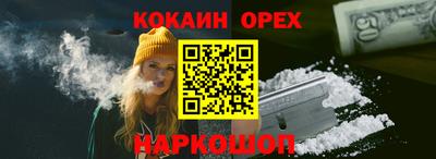 крисы Дубна