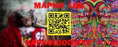spice Донской