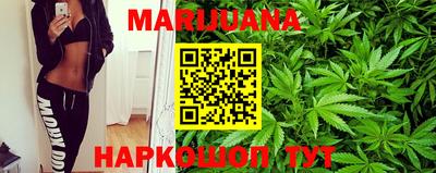 крисы Дубна