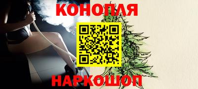 крисы Дубна